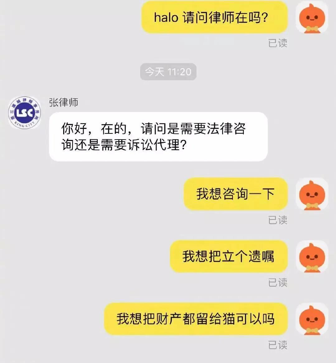 流浪猫突然暴富了,俄罗斯3只流浪猫