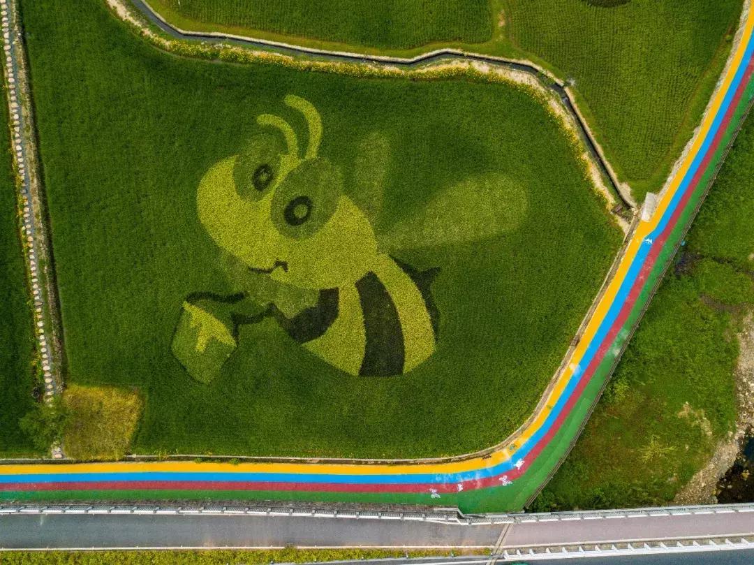 震撼！钱塘江畔出现巨型画作，有28个足球场这么大！