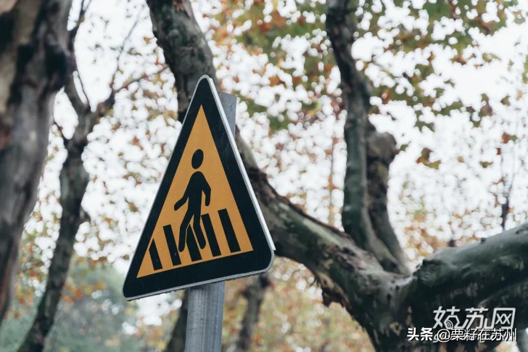 苏州古城区步行道,苏州古城步行线路石路