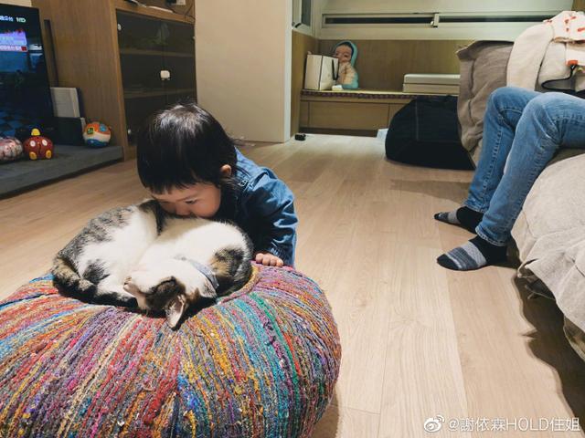 谢依霖分享生二胎喜讯,谢依霖二胎顺产还是剖腹产