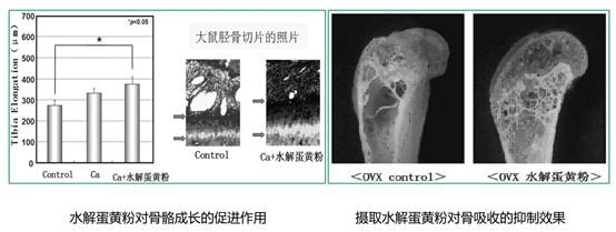 孩子怎么能长高的食谱,孩子补钙长高的营养汤