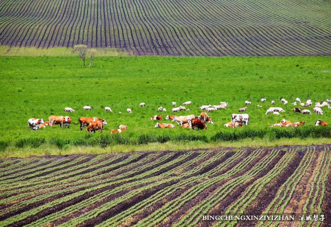 黑河加油北安平安,黑河加油万众一心抗击疫情