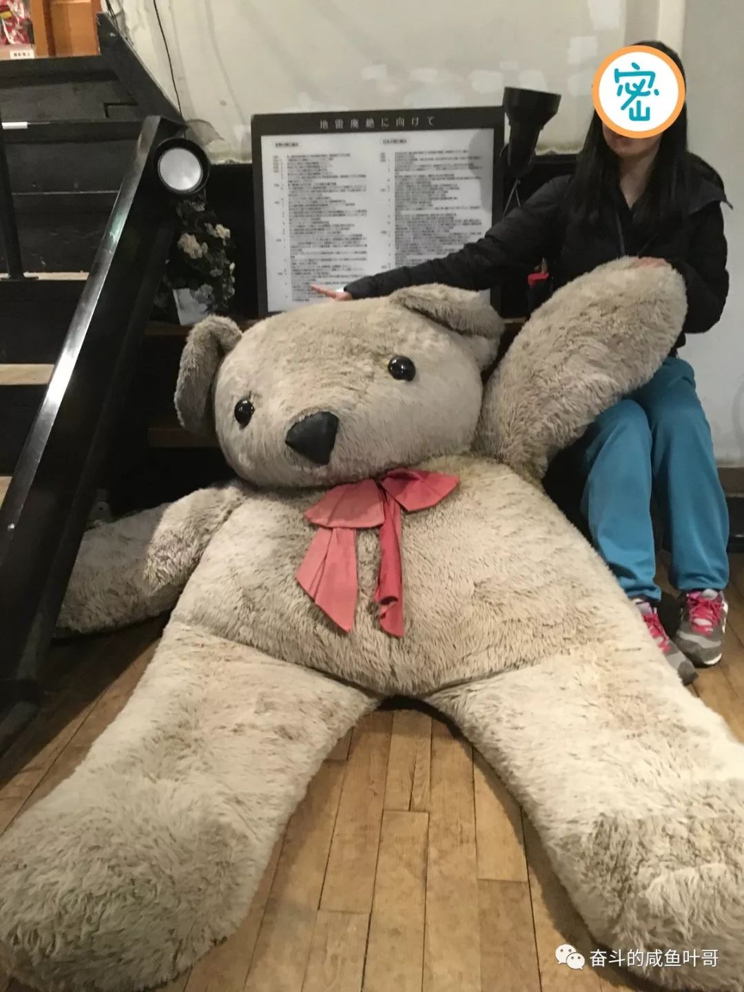 北海道函馆推荐,北海道的夏天