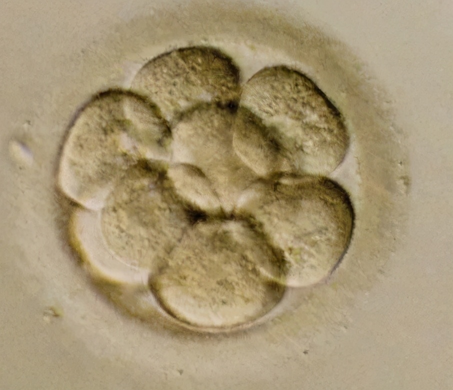 一个“异端邪说”是如何一步步走到聚光灯下？