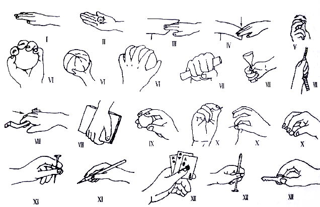 1-2岁宝宝精细动作发展视频记录,0-1岁宝宝发育精细动作
