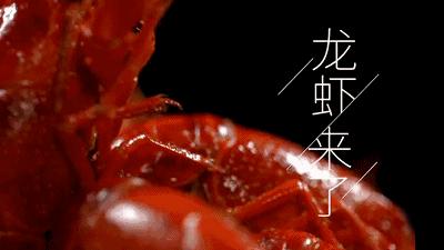 襄阳万达200斤龙虾免费吃！襄阳吃货小分队邀你17一起吃