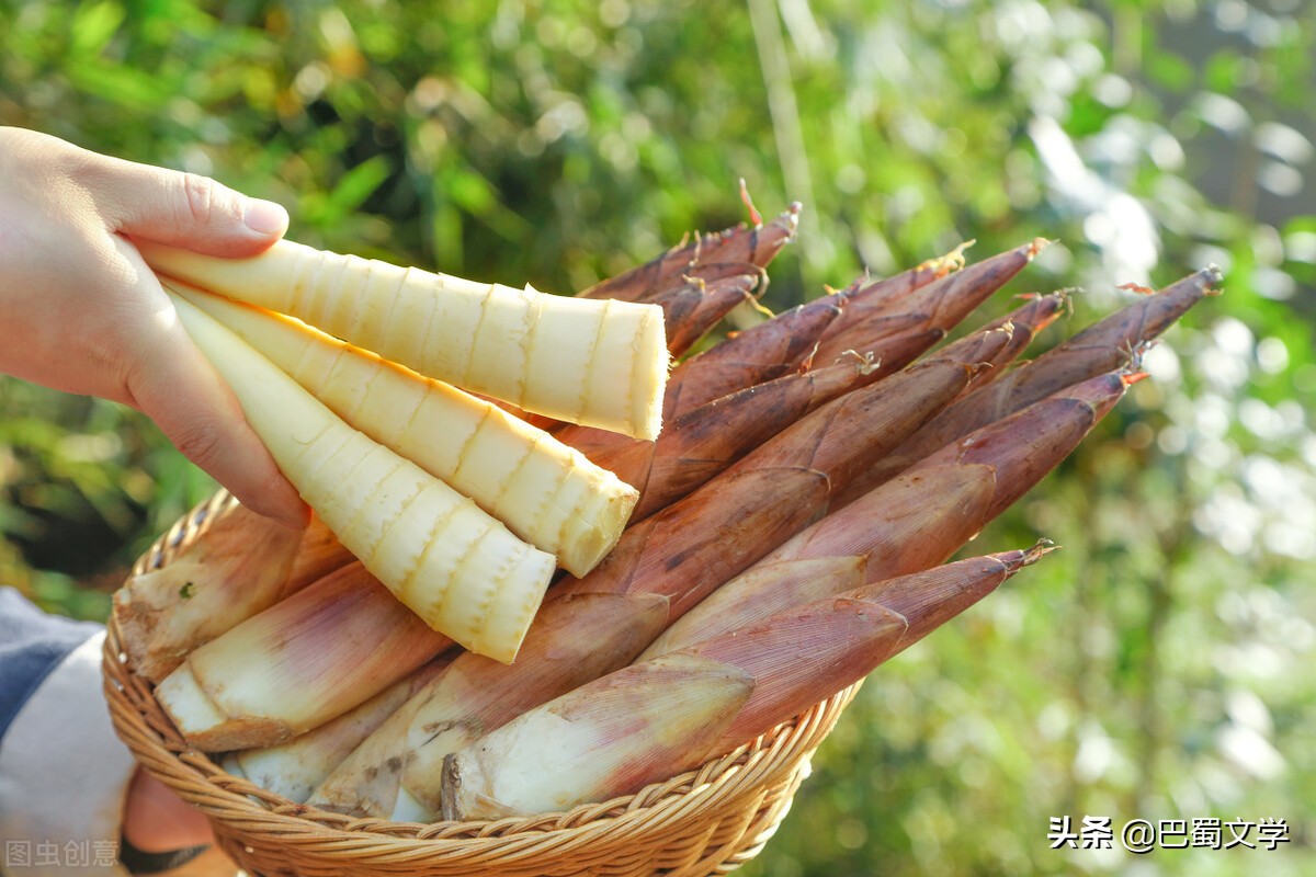 散文古诗鉴赏心得,散文欣赏古诗朗诵