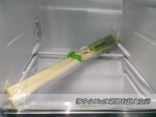 性价比品牌小冰箱,性价比高小冰箱哪个品牌好