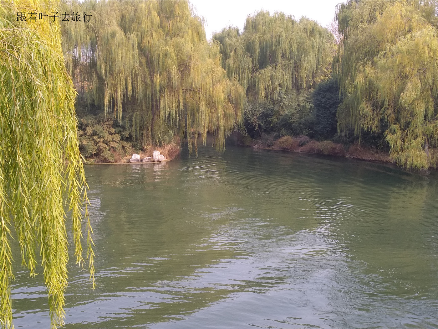 大明湖南丰祠,大明湖南丰祠有什么