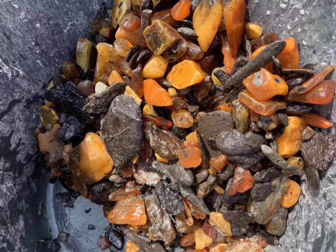 海边捡瓶子赚钱,国外捡蜜蜡