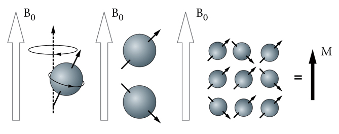 脑成像,脑成像技术是什么研究方法
