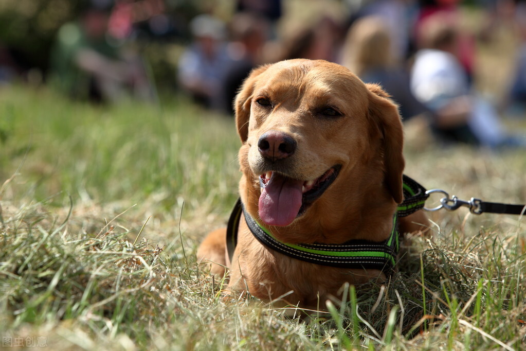 韩国29个冷知识,韩国冷知识100个