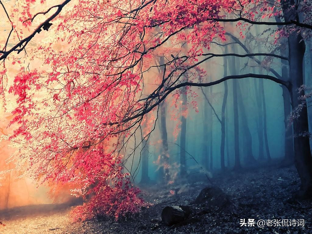 李白最有仙气的五句诗的标准答案,李白潇洒大气的九句诗