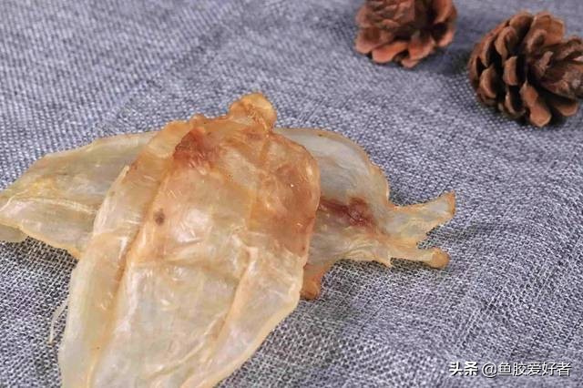 贵的花胶跟便宜的花胶有什么区别,便宜花胶与贵花胶的区别