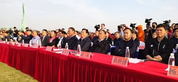 古黄河野钓连续三载成品牌赛事，睢宁县表示已申报大世界基尼斯