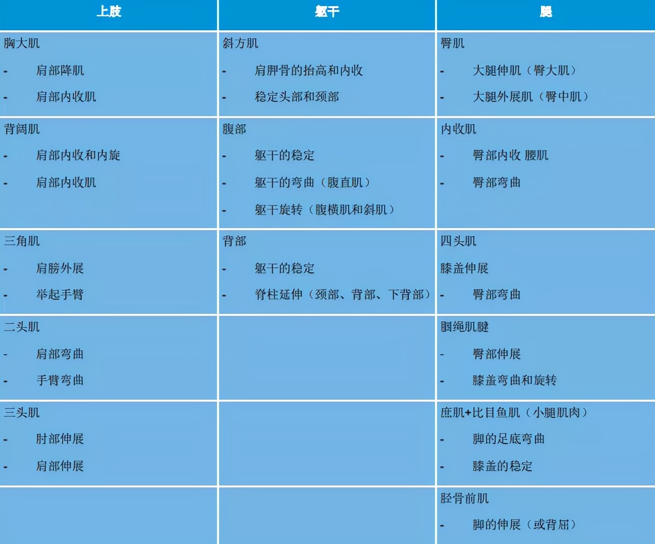 王之者,王之者足球培训班