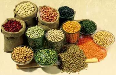 假期吃了很多食物怎么办,假期吃多怎么补救