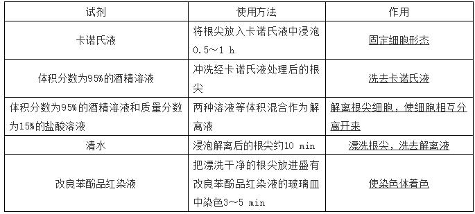 高中生物实验方法归纳图怎么画的,高中生物实验专题归纳
