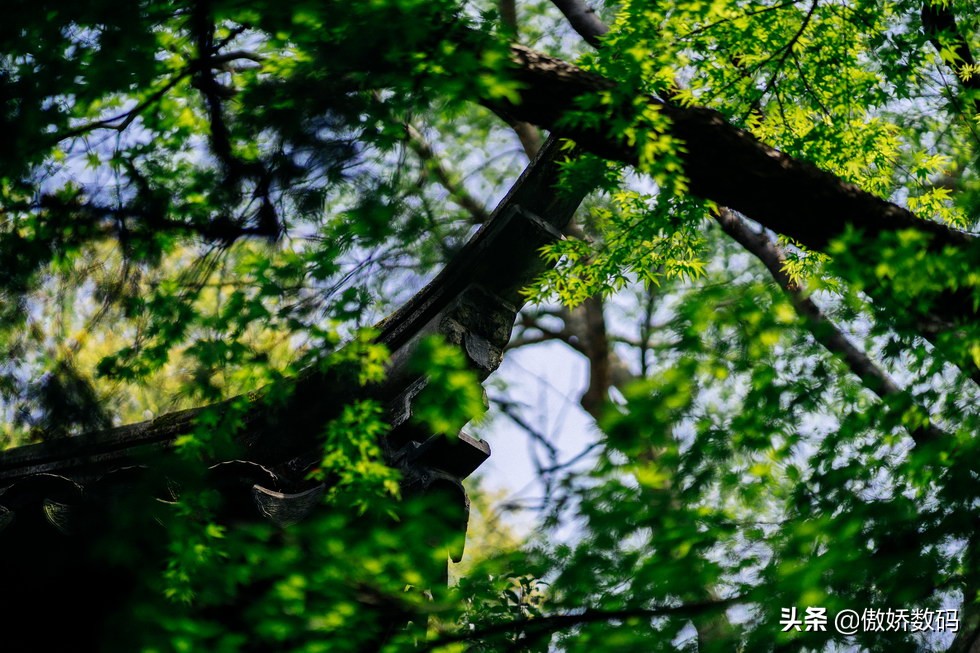 拙政园最让人欣赏的地方,拙政园十大特色