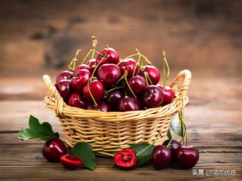 2023智利车厘子最新消息,目前智利车厘子已进入到货高峰期