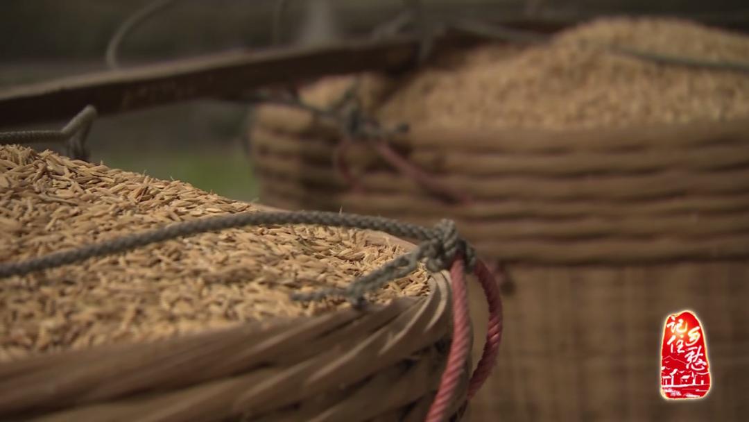 奖学“谷”，你听说过吗？