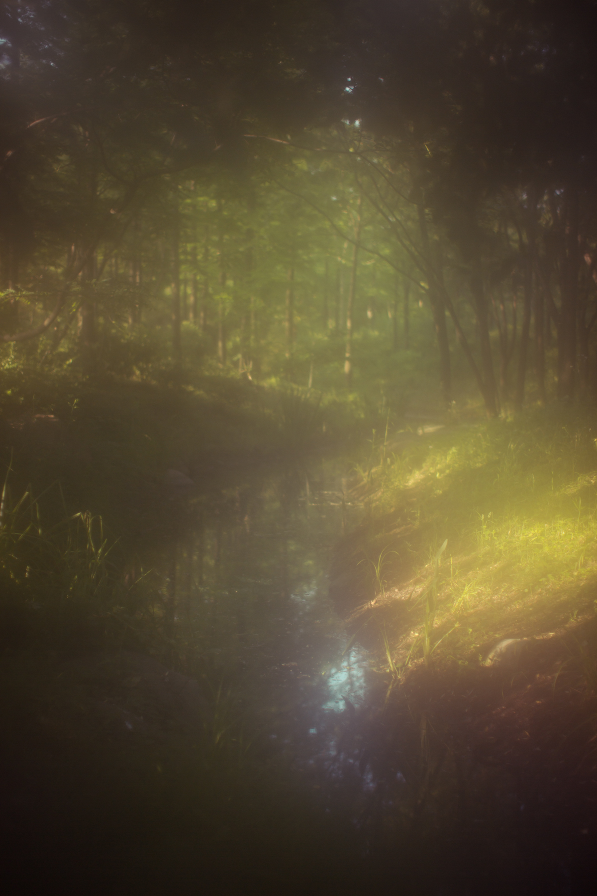 摄影师拍照必备物品有哪些,哪个是你最想拥有的摄影装备