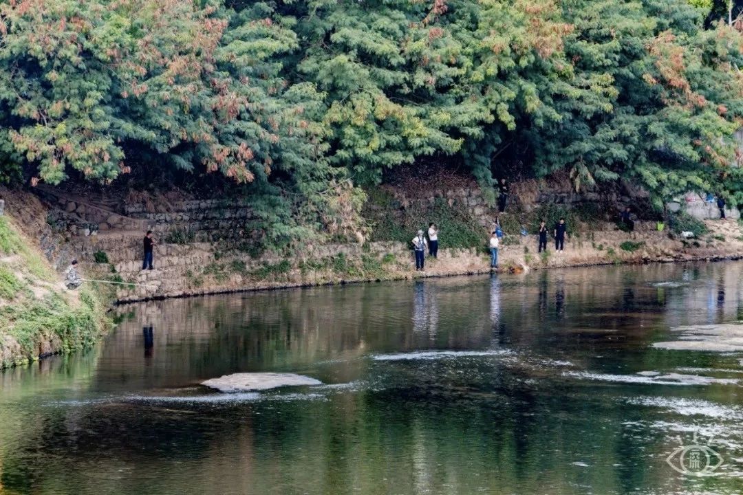 深圳免费一日游好去处推荐,深圳一日游好去处推荐老人