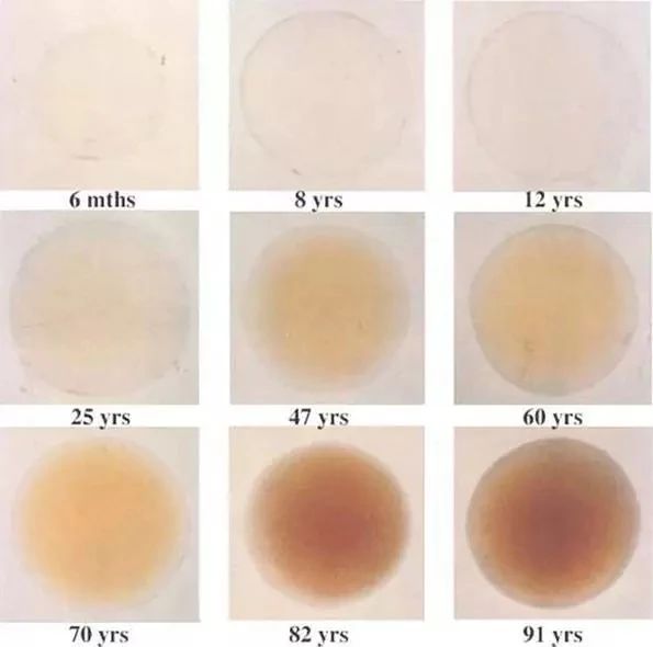 买了一个蓝墨镜,儿童墨镜7-12岁酷墨镜怎么选