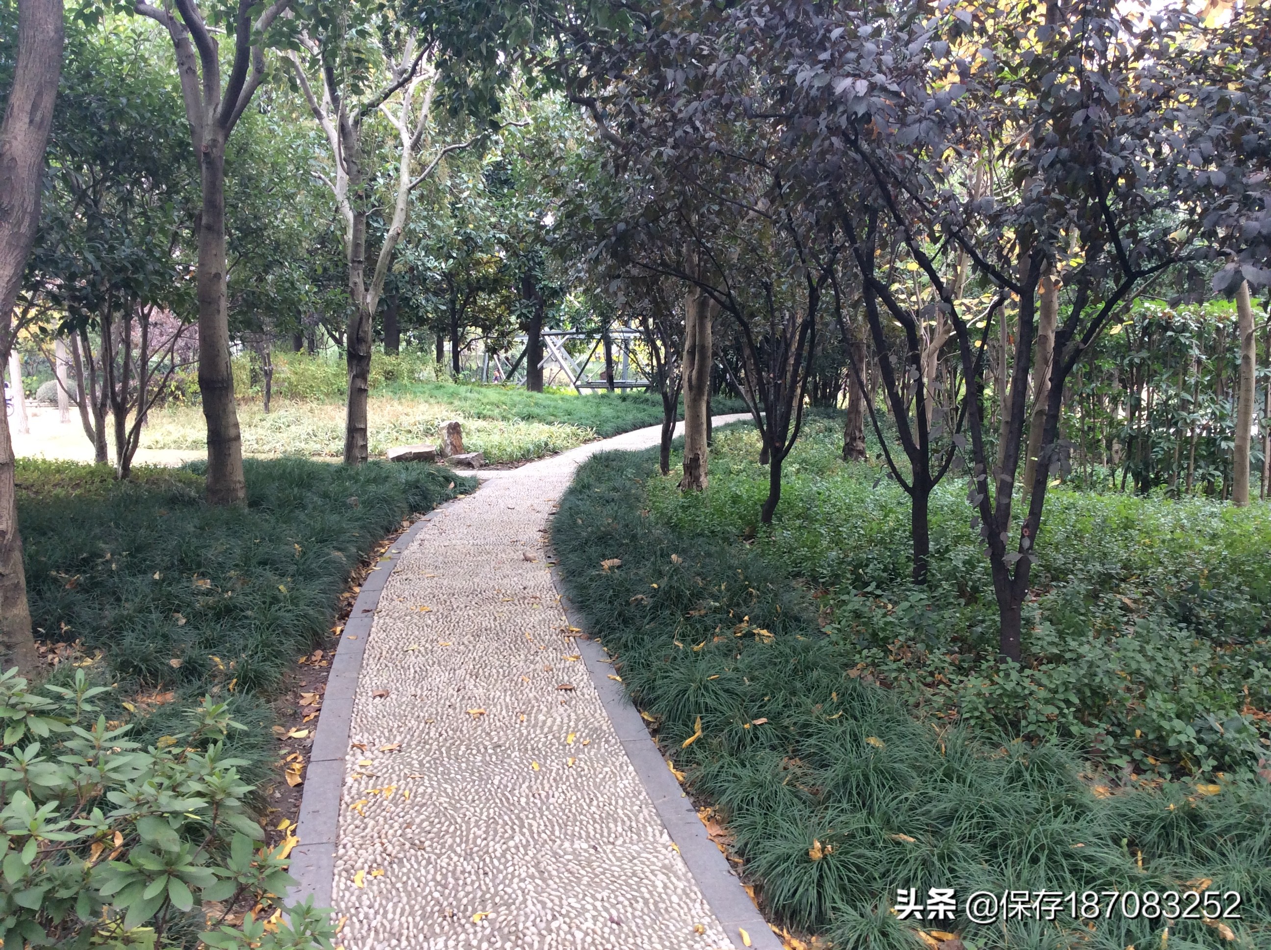 上海徐汇区公园名单,上海梦核公园