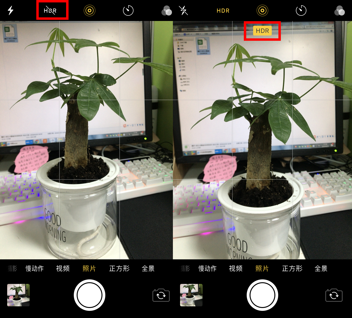 你们用苹果手机拍出来照片好看吗,苹果手机拍照设置技巧和手法