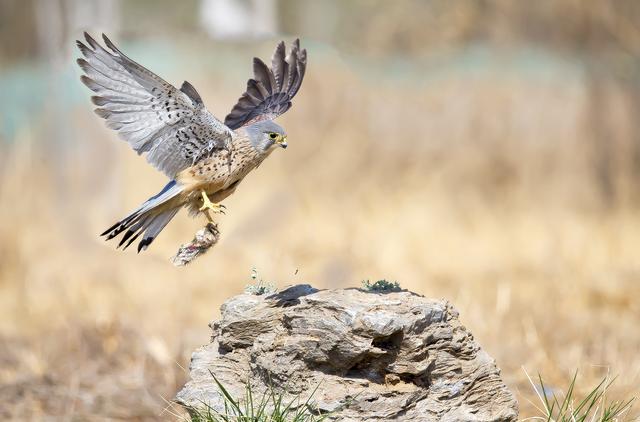 它说吉他前奏,她说钢琴伴奏和弦