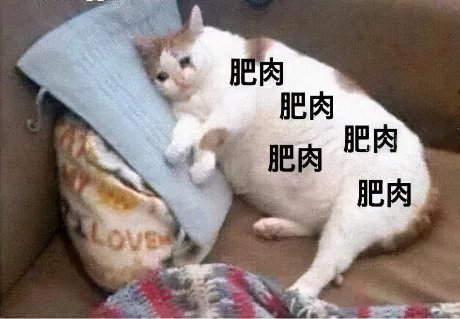 没有时间运动怎么减肥最有效,没有时间运动如何减肥