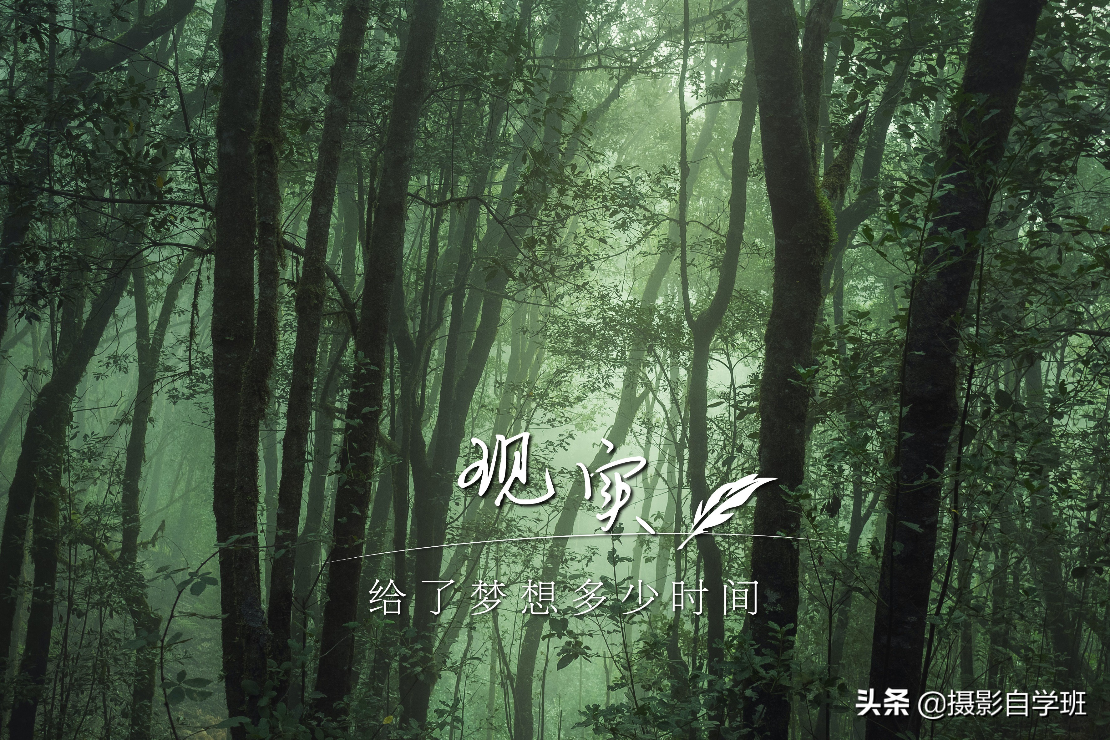 华为mate40pro照相水印和日期,华为手机照相和苹果手机照相