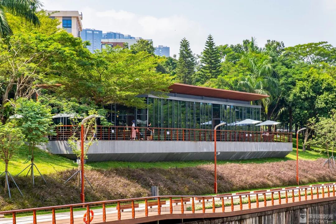 盼了1年！南山新地标“塞纳河”惊艳露面