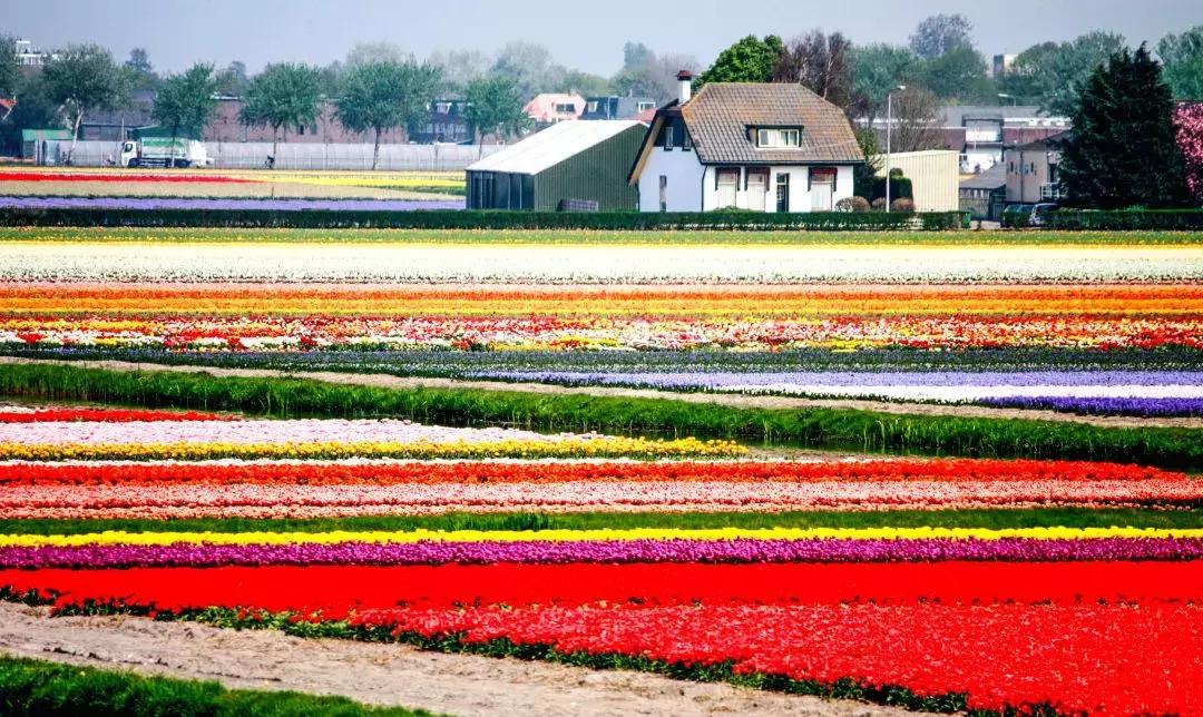 广州白云山风景区最新通知,广州白云山南麓片区改造