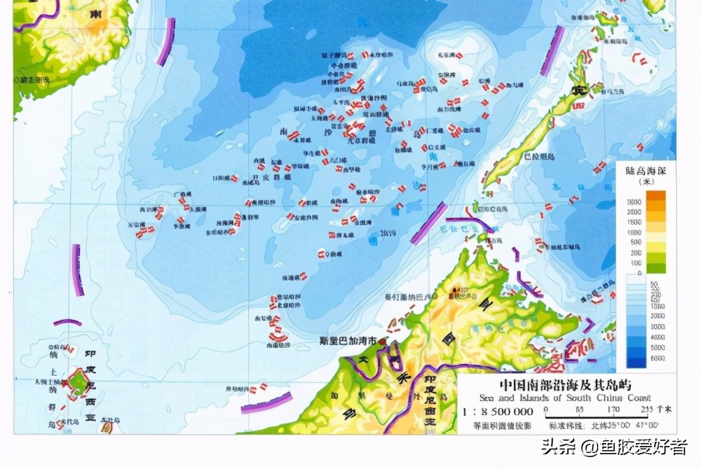 新手入门鱼胶,新手入手鱼胶哪种好