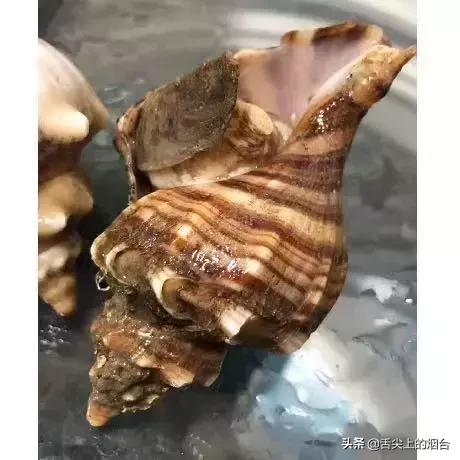 烟台海鲜小杂鱼批发,烟台海鲜自提