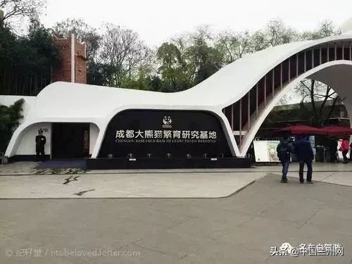 兰州到重庆绿巨人,兰州至上海绿巨人