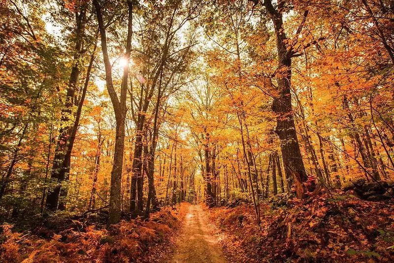 必看纪录片推荐建议收藏,推荐10部必看纪录片