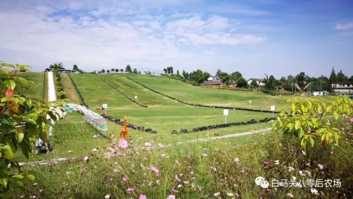 罗江赏梅花,罗江的礼物去哪买