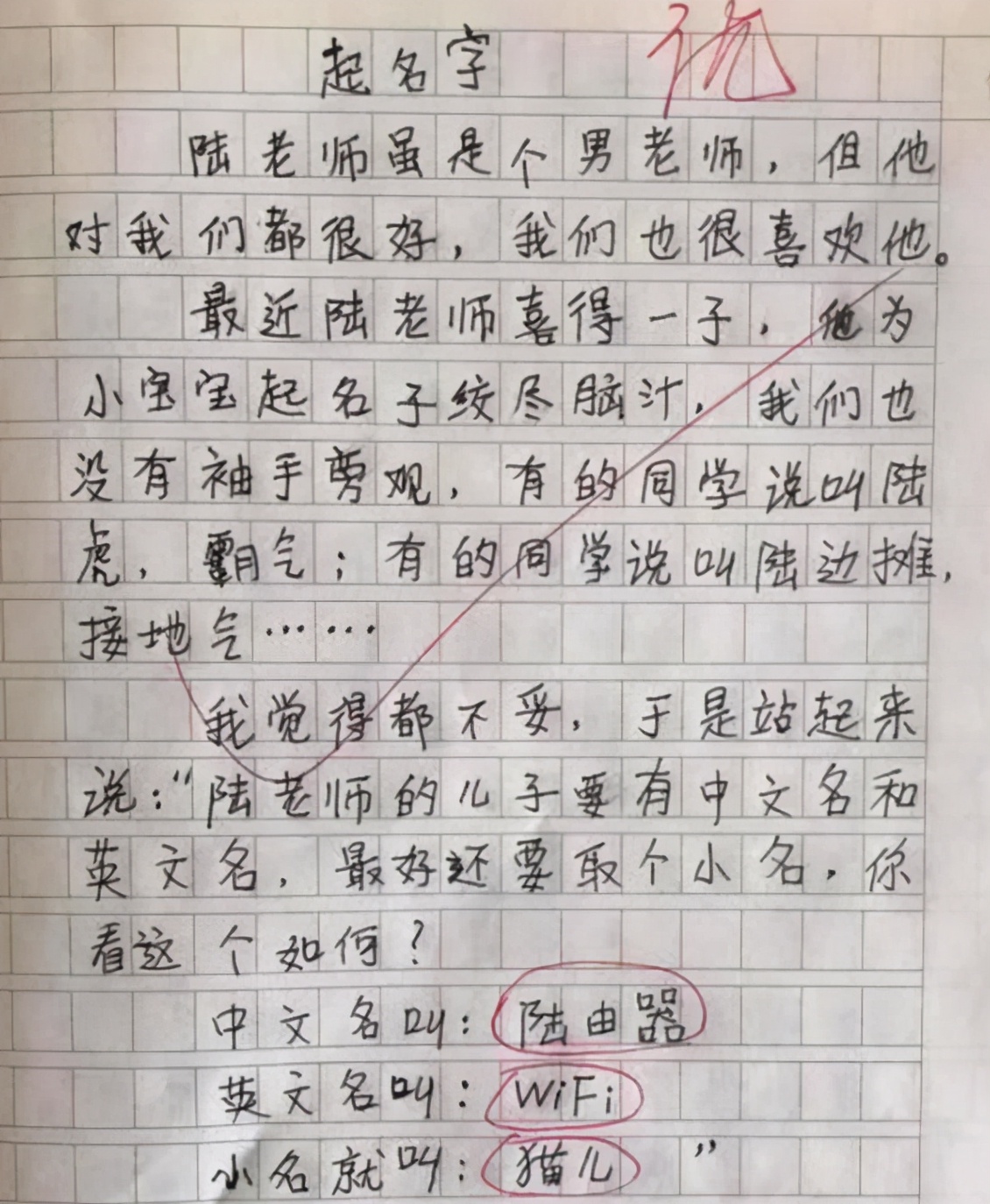 我的小姨小学生作文,三年级我的小姨作文300字
