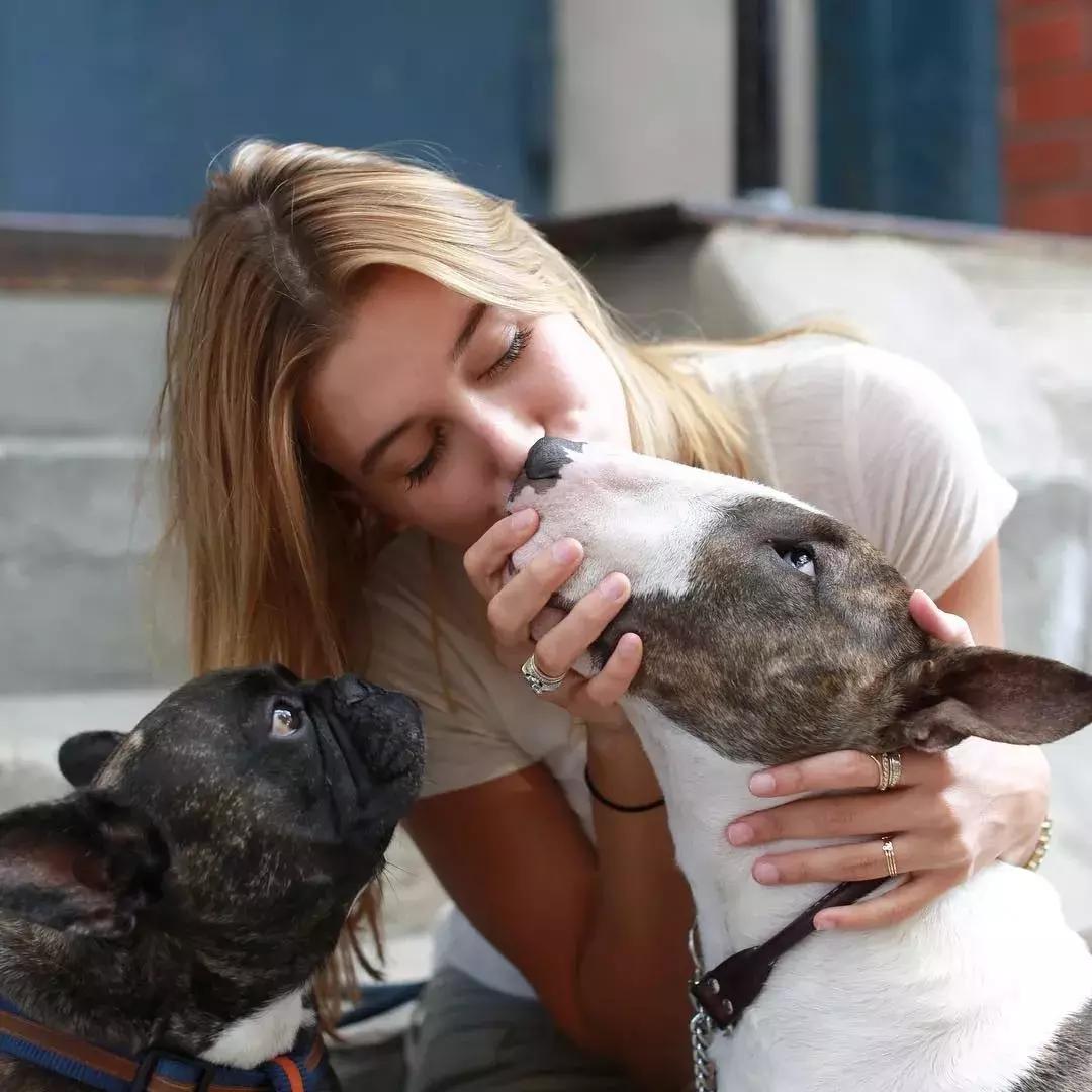 大熊猫一年可以赚钱几个亿,一只猫一年挣3000万