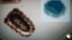 为了阻止闺蜜“自杀”，我们反而成了塑料姐妹花