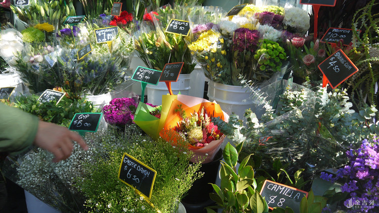 新西兰一年四季的温度多高,新西兰的气候知识和特点