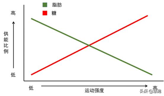 研究表明跑步的好处,最新研究跑步的好处