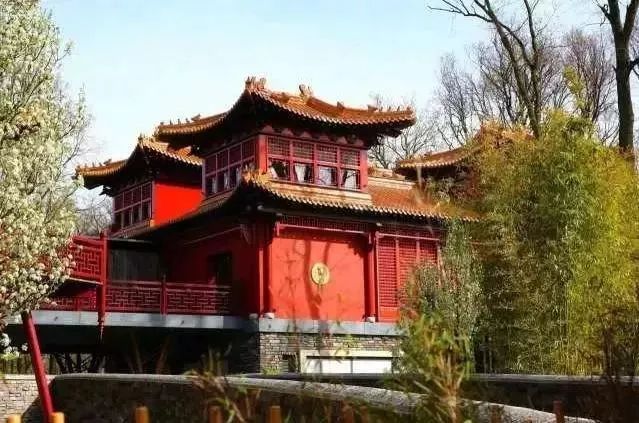 为什么全世界都喜欢大熊猫,世界各地的人们都喜爱大熊猫英语