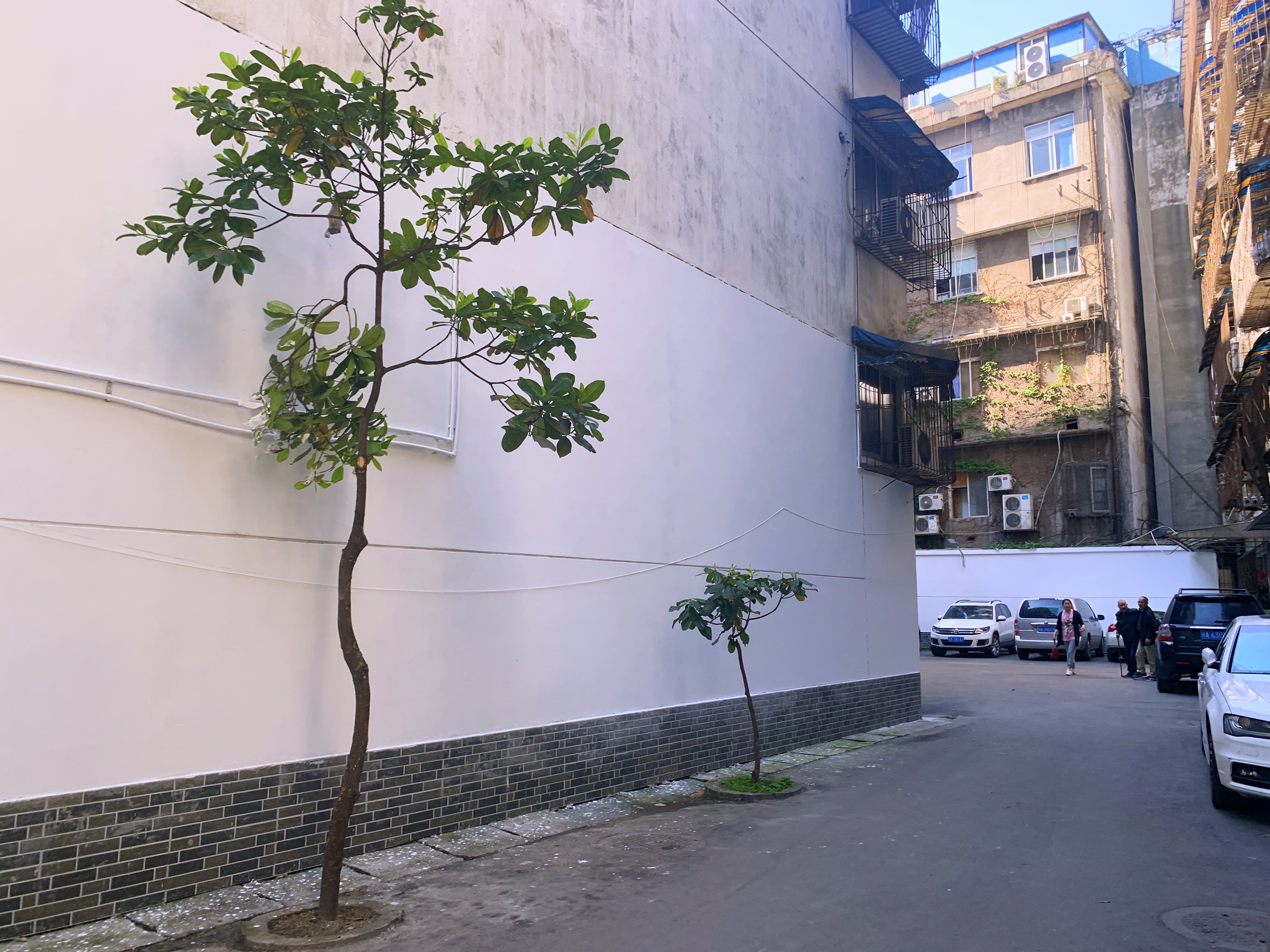 2021幸福感城市成都,最幸福感城市排名成都第一