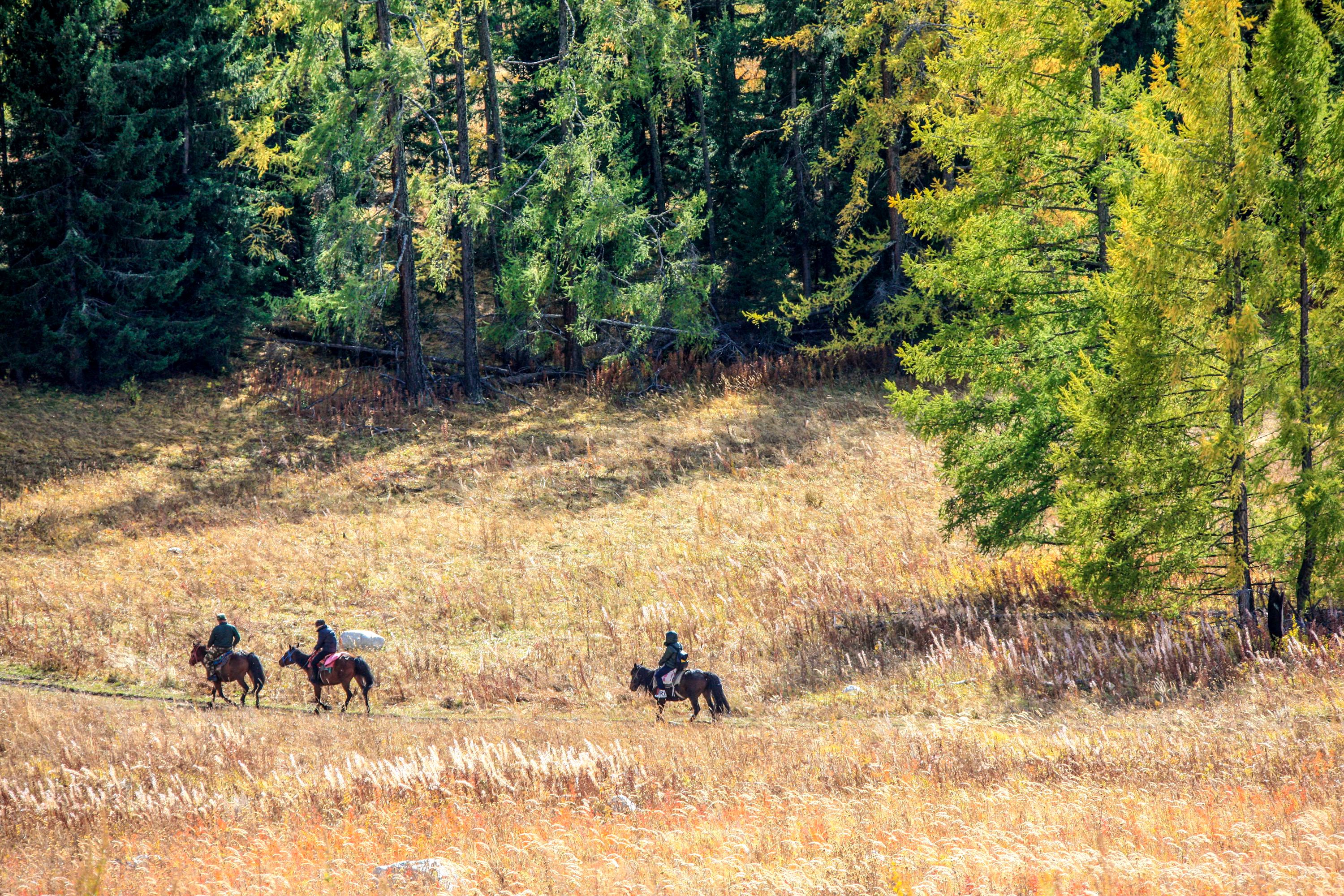 绮丽的原生态牧场,秀美善良的哈萨克姑娘,我的*疆新**南山牧场艳遇