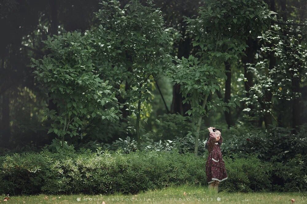 鑼勫瓙鎴峰涓撹,鑼勫瓙璁胯皥涓斧