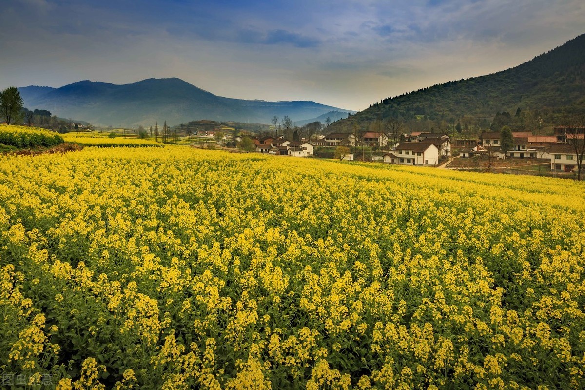 汉中平原有哪些城市,陕西汉中南方北方